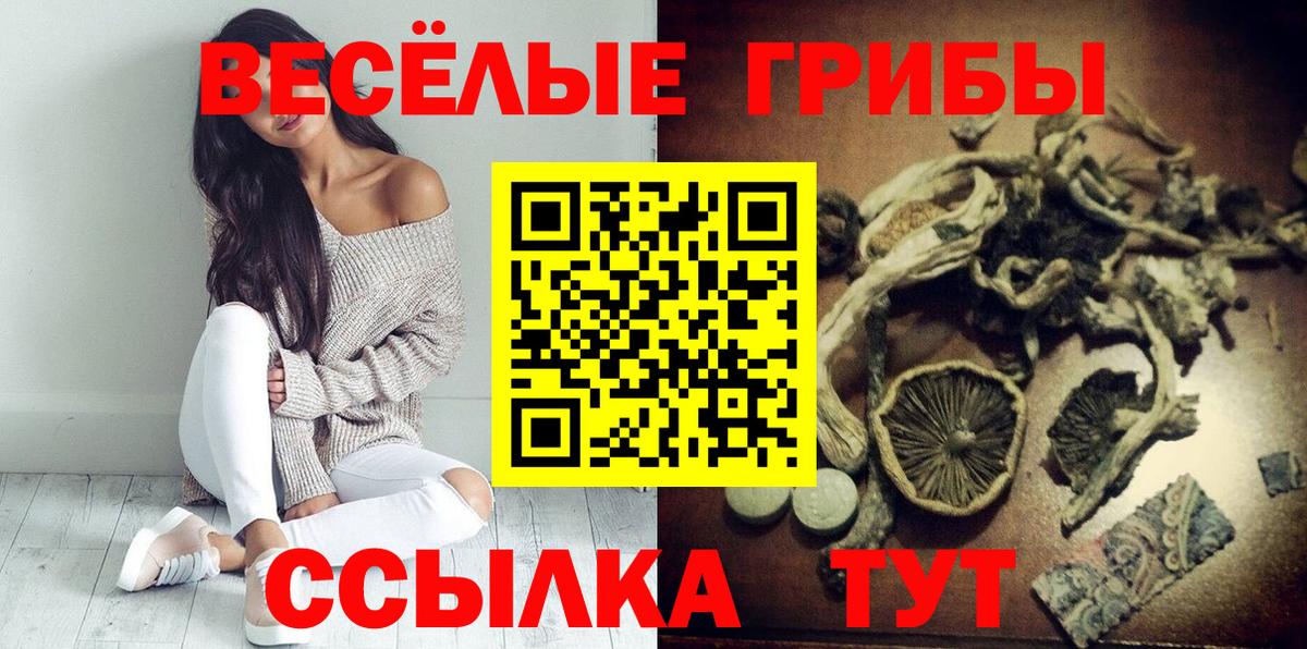 Ревда  Галлюциногенные грибы прущие грибы  Вход с VPN 