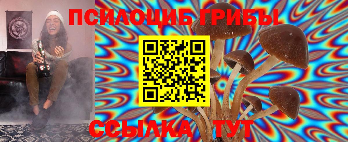 Псилоцибиновые грибы Psilocybe Ревда
